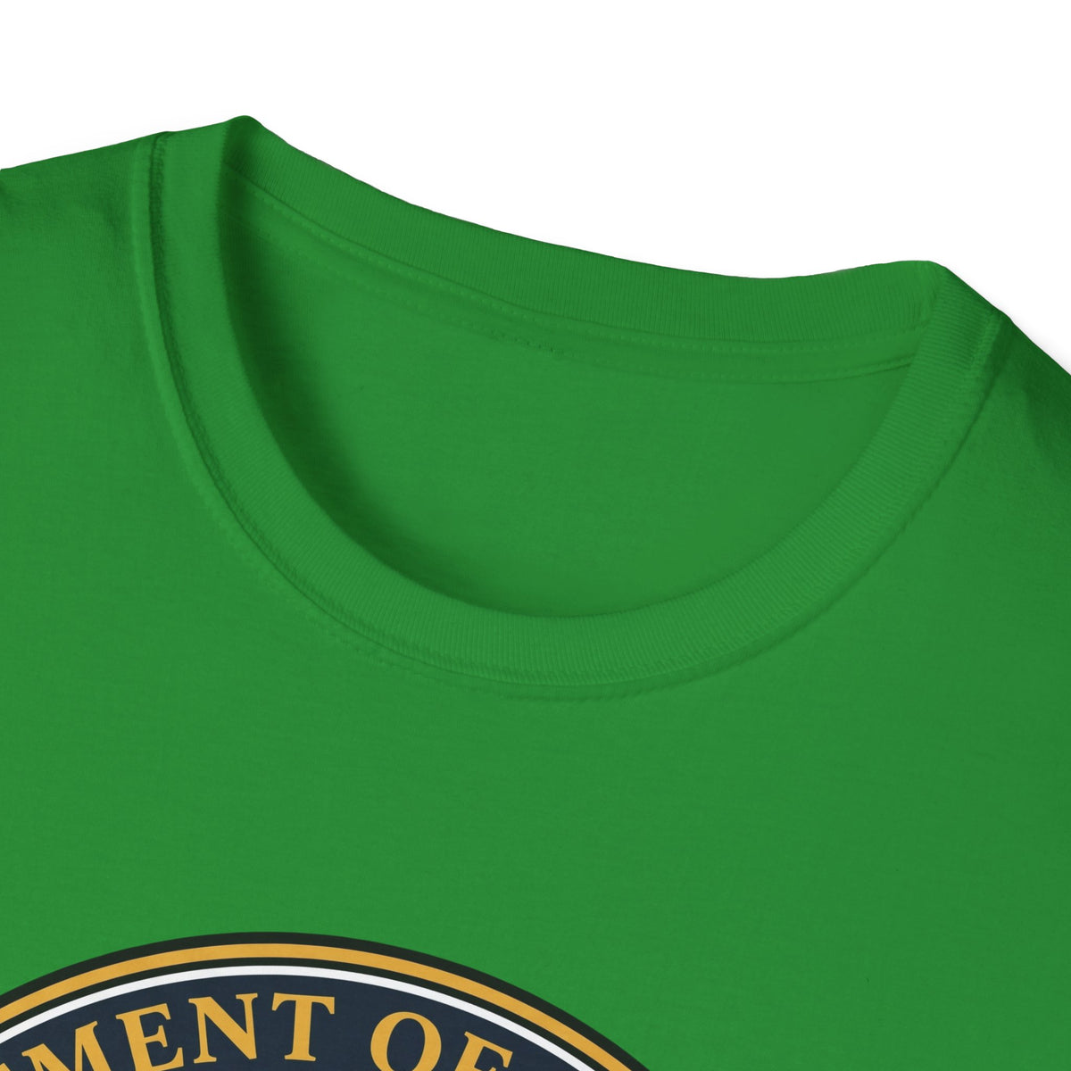Department of Chest Day