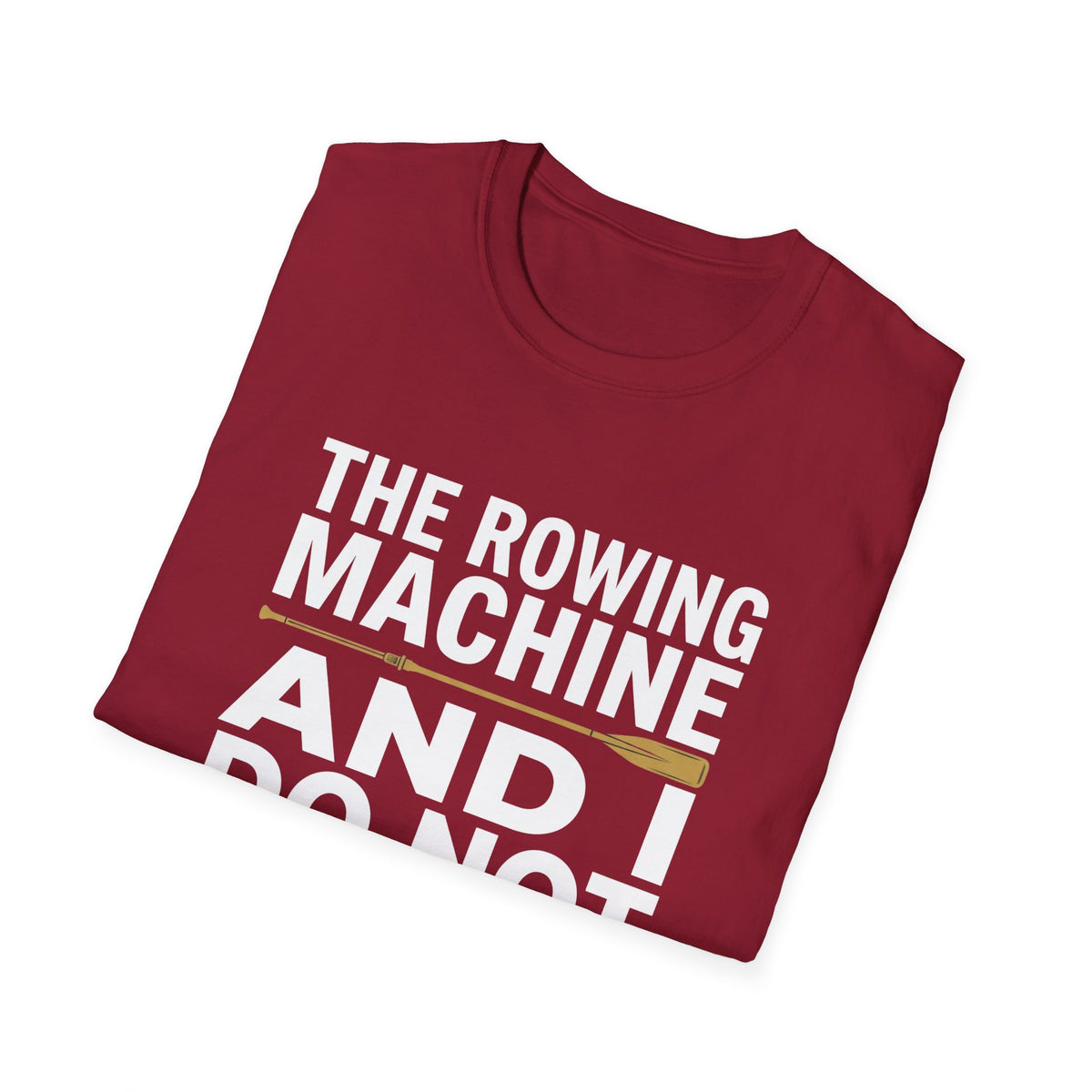 The Rowing Machine And I Do Not Understand Each Other
